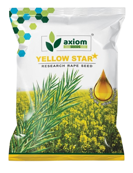 Research Rape Seeds