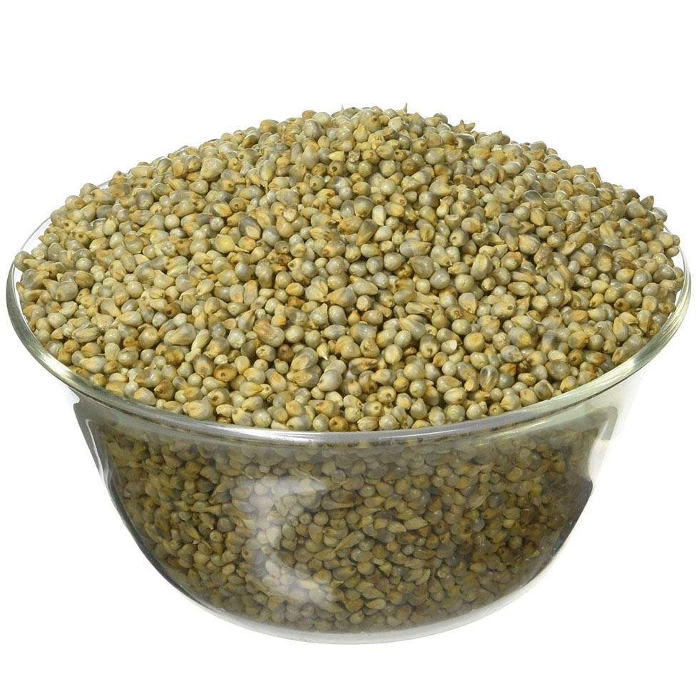 Hybrid Bajra Seed