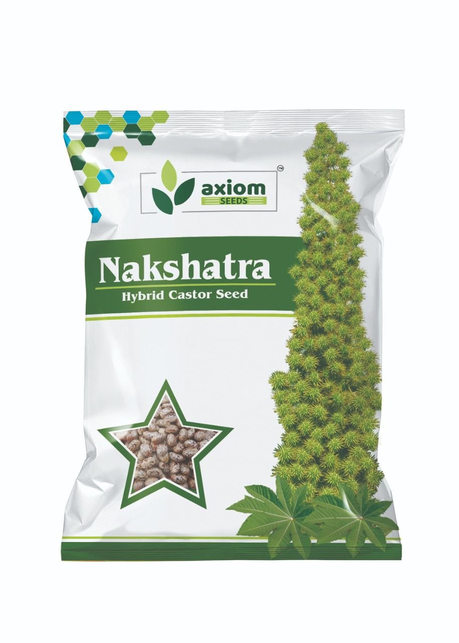 Hybrid Castor Seeds